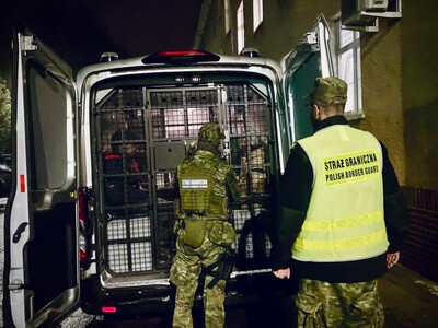 Funkcjonariusze Straży Granicznej podczas wykonywania czynności służbowych Funkcjonariusze Straży Granicznej podczas wykonywania czynności służbowych