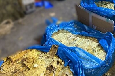 Zabezpieczony nielegalny tytoń Zabezpieczony nielegalny tytoń