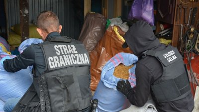 Prawie tona tytoniu w zlikwidowanym nielegalnym magazynie 