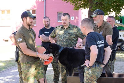 Funkcjonariusze SG uczestniczą w kursie doskonalącym dla instruktorów- selekcjonerów psów patrolowo-obronnych i tropiących wraz z psami 