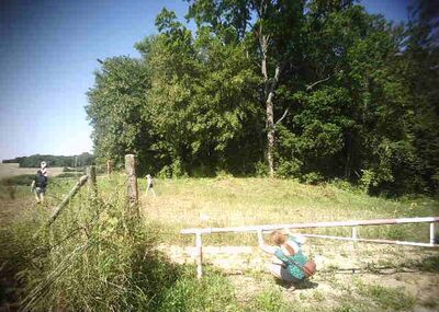 Rodzina przekraczająca wbrew przepisom granicę RP 