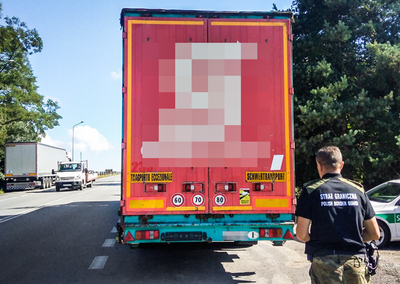 Funcjonariusz SG podczas kontroli drogowej 