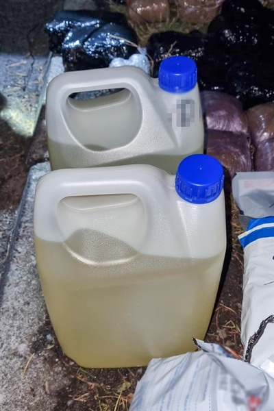 Narkotyki ujawnione przez funkcjonariuszy SG, CBŚP i KAS 