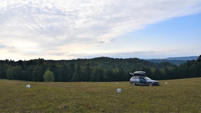 Miejsce ujawnienia paczek 