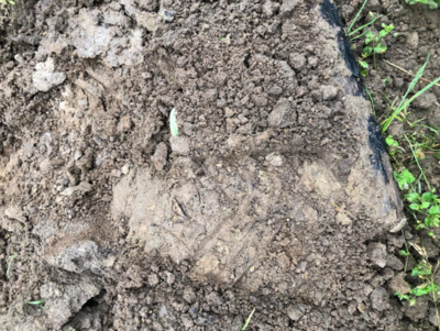 Ślady przekroczenia granicy 