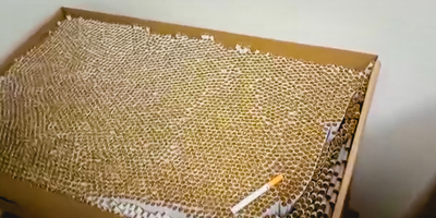 papierosy w kartonie w dużej ilości 