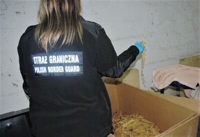 funkcjonariusz SG oraz zatrzymany towar 