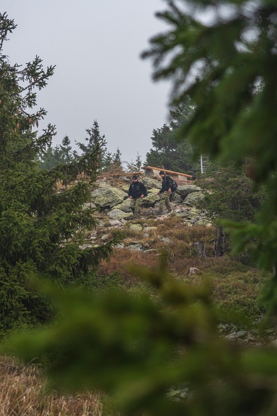 Ćwiczenia Śnieżnik 2022 