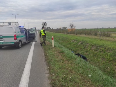 Zatrzymanie obywatela Turkmenistanu 