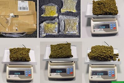 Ujawniony susz roślinny 