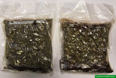 Ujawnione przesyłki 