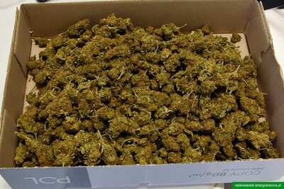 Ujawnione przesyłki 