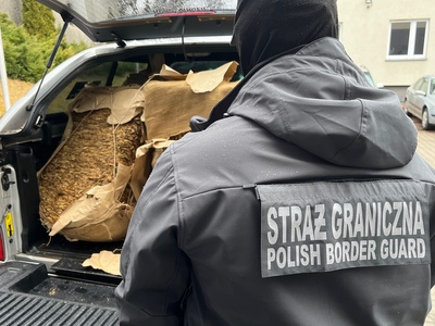 Funkcjonariusz Straży Granicznej z zatrzymanym suszem tytoniowym 