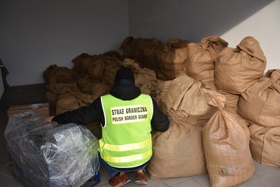 Ujawniony susz tytoniowy 