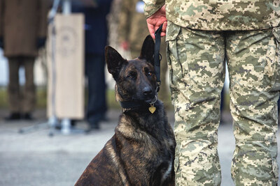 Uroczustosć przekazania psów saperskich ukraińskim żołnierzom 