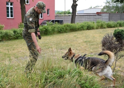 Przewodnik z psem służbowym w trakcie szkolenia w OSS SG w Lubaniu 