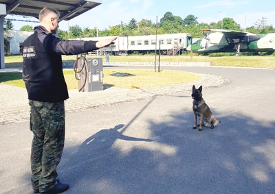 Przewodnik z psem służbowym w trakcie szkolenia w OSS SG w Lubaniu 