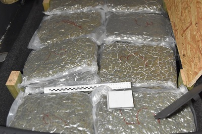 Narkotyki zatrzymane przez funkcjonariuszy Nadbużańskiego Oddziału SG