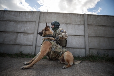 Szkolenie funkcjonariuszy WZD wraz z psem służbowym 