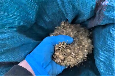 Funkcjonariusz SG zabezpiecza nielegalny towar 