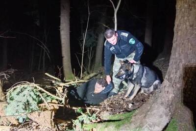 Funkcjonariusz Sg z psem służbowym w czasie ćwiczeń z poszukiwania osób zaginionych w terenie 