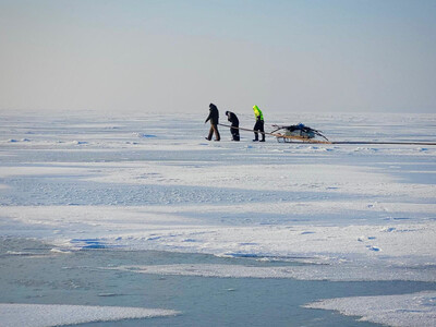 Podeszli blisko linii granicy, zareagowała Straż Graniczna Podeszli blisko linii granicy, zareagowała Straż Graniczna