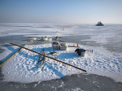 Podeszli blisko linii granicy, zareagowała Straż Graniczna Podeszli blisko linii granicy, zareagowała Straż Graniczna