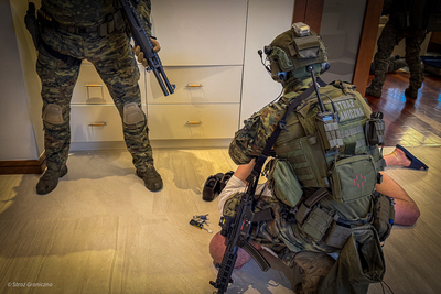 Zatrzymanie członków zorganizowanej grupy przestępczej 