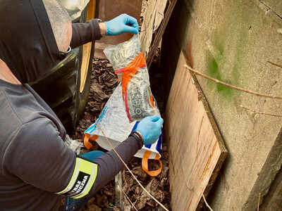 Funkcjonariusze Straży Granicznej podczas wykonywania czynności służbowych Funkcjonariusze Straży Granicznej podczas wykonywania czynności służbowych