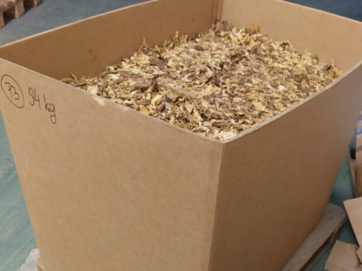 Usłyszeli zarzuty karne skarbowe Usłyszeli zarzuty karne skarbowe