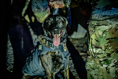 Cios w narkotykowy gang – w tle pseudokibice i międzynarodowy przemyt Cios w narkotykowy gang – w tle pseudokibice i międzynarodowy przemyt