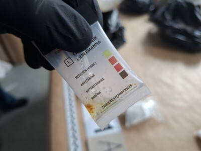 Skuteczne uderzenie w zorganizowaną przestępczość samochodową Skuteczne uderzenie w zorganizowaną przestępczość samochodową